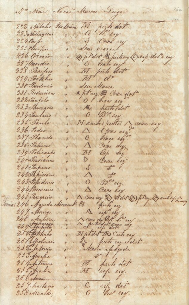 Primeira página manuscrita da lista de 322 africanos escravizados transportados pelo Asseiceira.